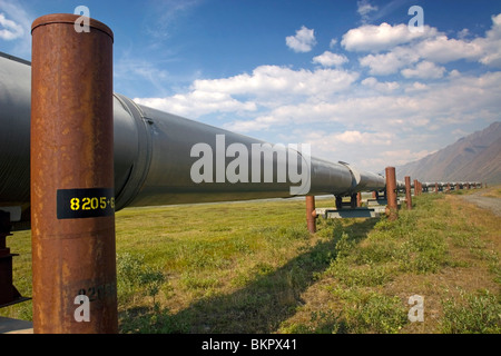 Pipeline Trans-Alaska s'étendant à travers le long de la route de la toundra arctique Dalton Brooks Alaska Summer Banque D'Images