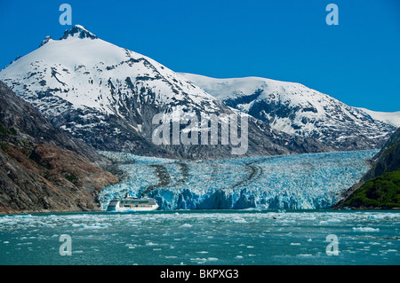 Royal Carribean Cruise ship in Endicott, Tracy Arm Arm-Fords la terreur, le sud-est de l'Alaska Wilderness National Banque D'Images