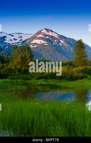 Vue panoramique d'un petit ruisseau dans la vallée de Portage avec Chugach montagnes en arrière-plan, de l'Alaska Banque D'Images