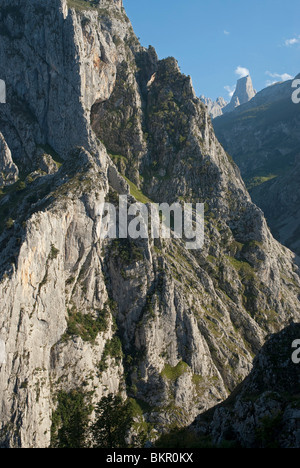 El Naranjo de Bulnes (Picu Urriellu) Vue de dessus les gorges de Cares, Massif Central, Picos de Europa, l'Espagne Banque D'Images