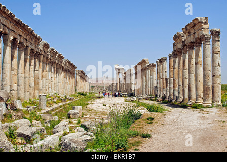 La Syrie, l'Apamée. Le Cardo Maximus. Banque D'Images