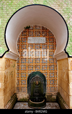 L'Algérie, Alger. Fontaine de lavage extérieur d'une mosquée de la Kasbah. Banque D'Images