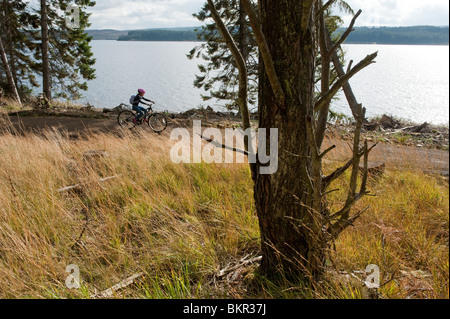 Circuit à vélo en famille le long de la manière, au bord du lac Kielder Water & Forest Park, Northumberland, Angleterre. Banque D'Images