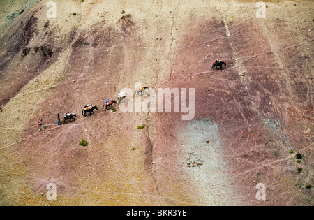 Le sentier de montagne à Stok Kangri, Ladakh, nord-ouest de l'Inde Banque D'Images