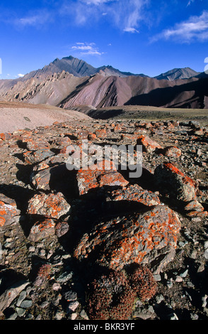 Le sentier de montagne à Stok Kangri, Ladakh, nord-ouest de l'Inde Banque D'Images