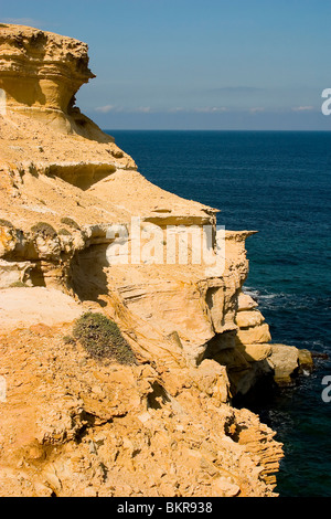 Falaises de grès. Banque D'Images