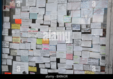 Un conseil plein de petites annonces dans un marchand de vitrine dans Hounslow West, Middx, UK. Banque D'Images