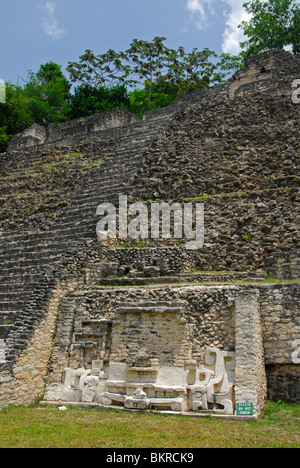 Soulagement et pyramide, ruines mayas Caracol, Montagnes, Cayo District, Belize, Amérique Centrale Banque D'Images