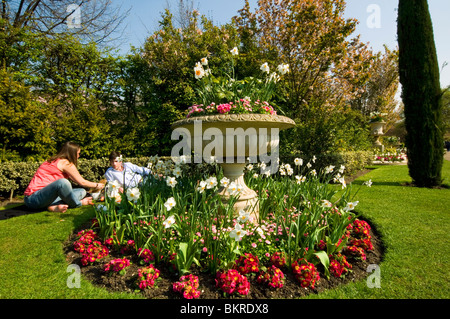 Un jeune couple bénéficie d''un pique-nique dans Regents Park Londres UK à la fin d'avril Banque D'Images