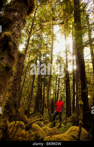 Un homme en rouge randonnées dans une forêt pluviale tempérée de la mousse sur les îles de la reine Charlotte de Haida Gwaii en Colombie-Britannique, Canada entouré de grands arbres. Banque D'Images