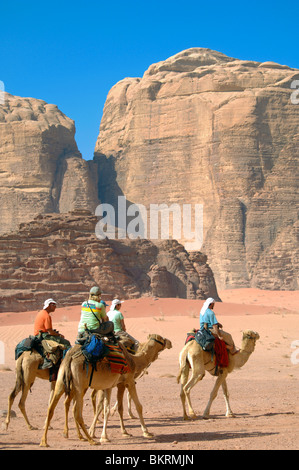 Les randonneurs sur les chameaux en dessous des murs de pierre, Wadi Rum, Jordanie Zone protégée Banque D'Images