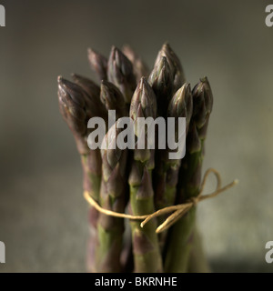 Bouquet d'asperges sec, à égalité avec string contre moody fond de bois. Banque D'Images