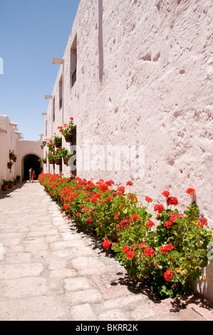 Monasterio de Santa Catalina, Arequipa, Pérou Banque D'Images