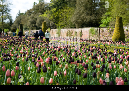 Le jardin au printemps à Cliveden, España Banque D'Images