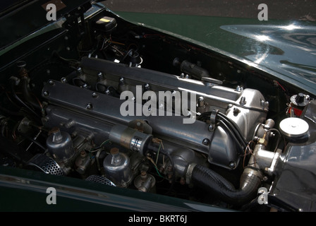 Baie de moteur 1950 British Racing Green Jaguar XK120 Roadster Banque D'Images