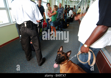 L'aéroport de Curaçao, Hato, contrôle du passagers au départ sur le vol KLM à Amsterdam avec des chiens détecteurs de drogue. Banque D'Images