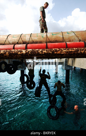 Curaçao, Antmil recrute sur une formation de l'eau dans le Bullenbaai. Banque D'Images