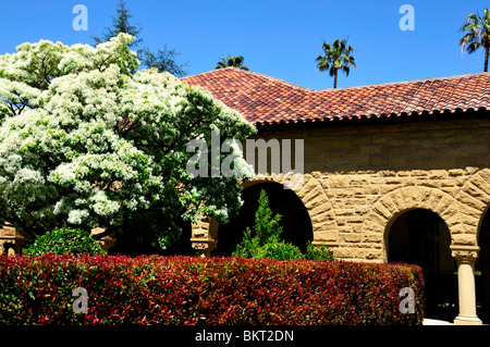 Scène de campus. L'Université de Stanford, à Palo Alto, Californie, USA. Banque D'Images