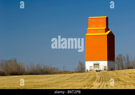 Une famille, de l'élévateur à grain orange est de l'attention avec des chaumes de céréales qui l'entourent. Banque D'Images