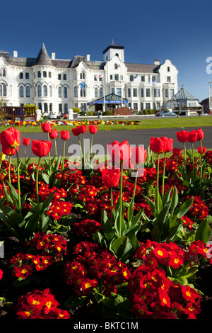 Les tulipes en fleurs le long de la promenade de Southport, Royaume-Uni Banque D'Images