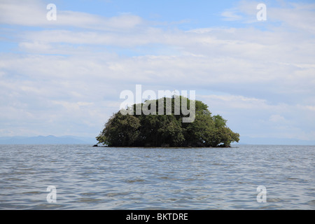 Las Isletas, archipel de 365 îles, le Lac Nicaragua, Granada, Nicaragua, Amérique Centrale Banque D'Images