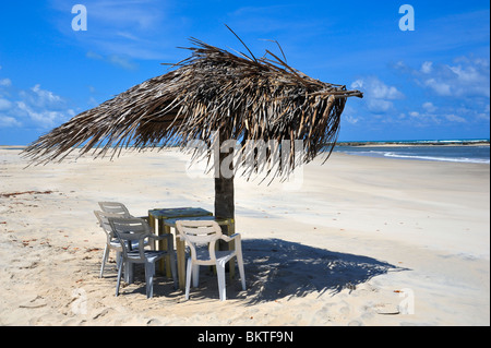 Plage déserte avec palm parasol table et chaises Barra do Cunhau, Pipa, Brésil Banque D'Images