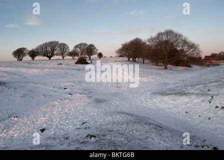 La fin de l'après-midi le soleil s'allume un harfang Cissbury Ring sur le parc national des South Downs. Banque D'Images