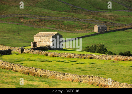 Une scène typique de Swaledale dans le Yorkshire Dales de l'Angleterre dont granges et les murs Banque D'Images