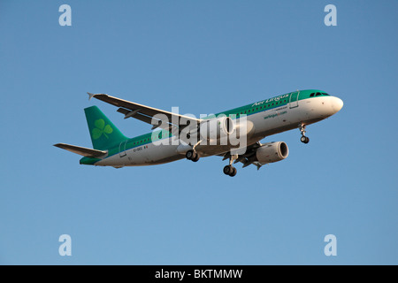 Un Airbus A320-214 d'Aer Lingus en venant d'atterrir à l'aéroport de Londres Heathrow, Royaume-Uni. Août 2009. (EI-DEE) Banque D'Images