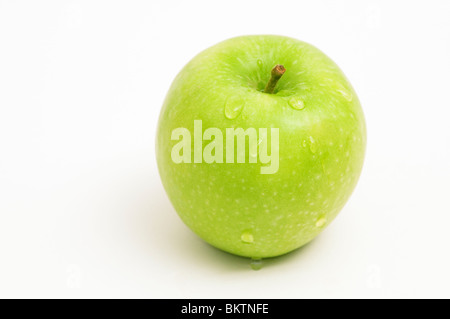 Seul GRANNY SMITH APPLE MALUS DOMESTICA SUR FOND BLANC AVEC DES GOUTTELETTES D'EAU Banque D'Images