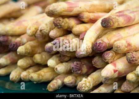 L'asperge blanche à vendre au marché d'Aligre, Paris Banque D'Images