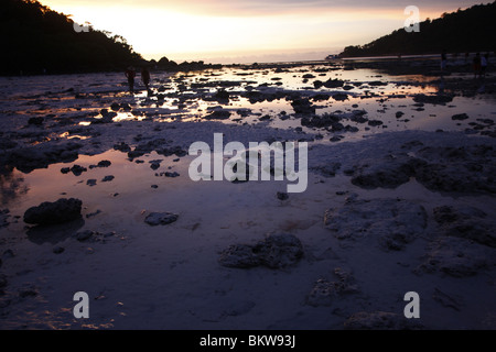 Lumière du soir sur Mae Nam beach de Ko Suin, marine national park, Thaïlande Banque D'Images