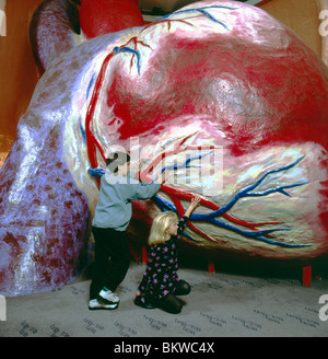 Les enfants explorent le modèle surdimensionné d'un coeur humain au Franklin Institute Science Museum, Philadelphie, Pennsylvanie, USA Banque D'Images