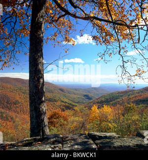 Blue Ridge Mountains vu de Ivy Creek Overlook (2840') dans le Parc National Shenandoah, en Virginie, USA Banque D'Images