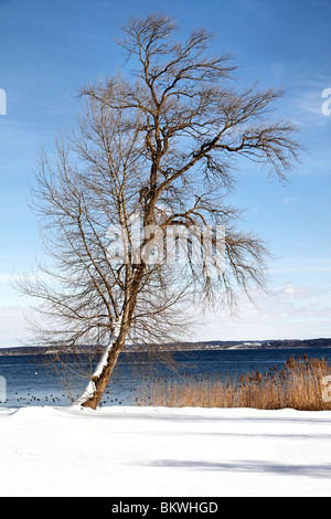 En hiver l'Île Fraueninsel, Chiemsee, Chiemgau Haute-bavière Allemagne Banque D'Images