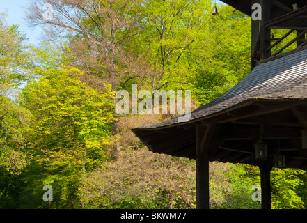 Chinesischer Turm pagode dans un jardin anglais, Munich, Allemagne Banque D'Images