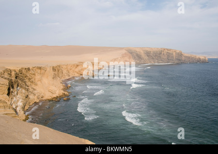 La réserve nationale de Paracas, Pérou Banque D'Images