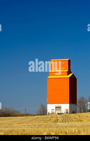 Une famille, de l'élévateur à grain orange est de l'attention avec des chaumes de céréales qui l'entourent. Banque D'Images