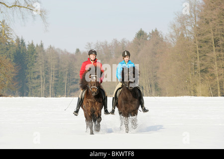 Deux jeunes filles à cheval sur des chevaux Islandais dans la neige Banque D'Images