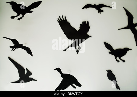 Silhouettes d'oiseaux dans une vitrine d'affichage, Regent Street, London UK Banque D'Images