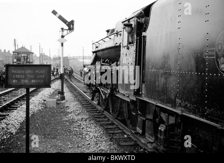 Numéro de moteur 44781 classe 5 noir stanier chefs une excursion au cours des derniers jours de la vapeur sur les chemins de fer britanniques Banque D'Images