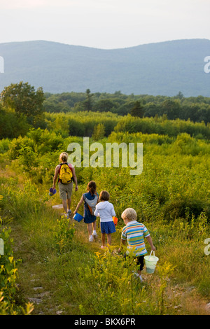 Une femme et trois enfants marcher dans un champ sur une colline à Alton, New Hampshire. Banque D'Images