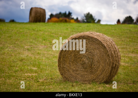 Bottes de foin à la ferme sur la montagne à l'automne dans le Vermont's Northeast Kingdom. East Burke. Banque D'Images