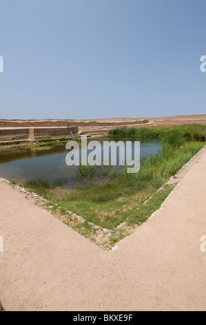 Bien naturel à Chan Chan, l'ancienne capitale de l'empire Chimu, Pérou Banque D'Images