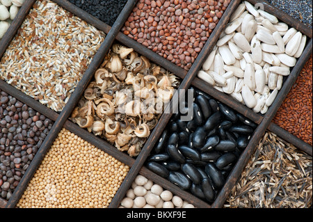 Sélection de graines de fleurs et légumes dans un bac en bois au-dessus de la photographie mise à plat Banque D'Images