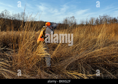 Chasseur d'oiseaux des hautes terres au tir au Faisan à collier Deer Creek Lodge dans le comté de Webster Banque D'Images