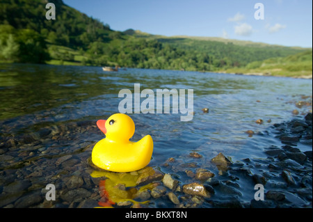 Un canard en caoutchouc sur Rydal Water Lake District UK Banque D'Images