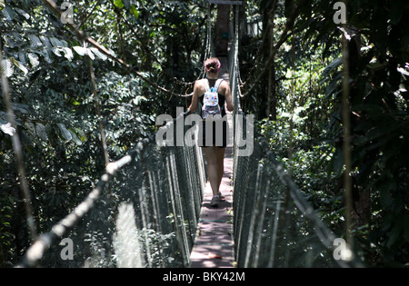 Mulu Canopy Skywalk situé dans le parc national du Gunung Mulu en Malaisie Bornéo. Banque D'Images