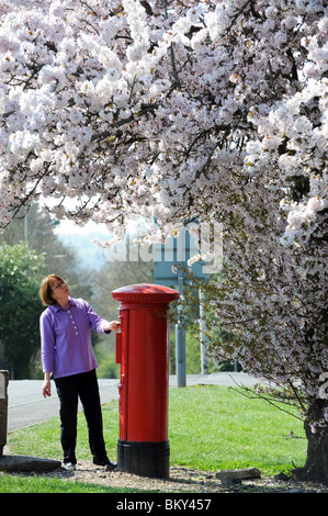 Femme poster une lettre en printemps England Uk Banque D'Images