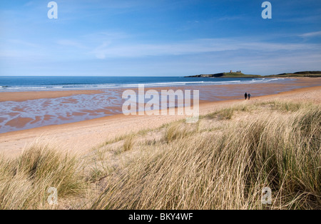 Château de Dunstanburgh et couple en train de marcher le long de la plage de Embleton Banque D'Images